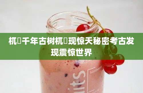 杌梼千年古树杌梼现惊天秘密考古发现震惊世界