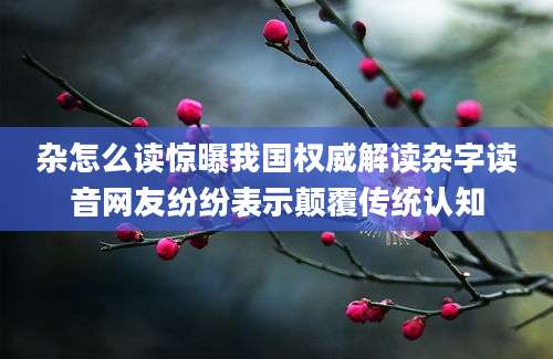 杂怎么读惊曝我国权威解读杂字读音网友纷纷表示颠覆传统认知