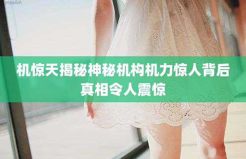 机惊天揭秘神秘机构机力惊人背后真相令人震惊