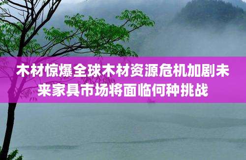 木材惊爆全球木材资源危机加剧未来家具市场将面临何种挑战