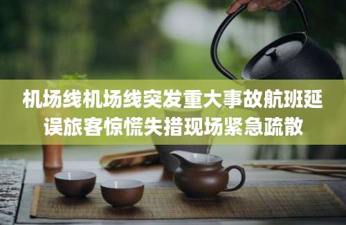 机场线机场线突发重大事故航班延误旅客惊慌失措现场紧急疏散