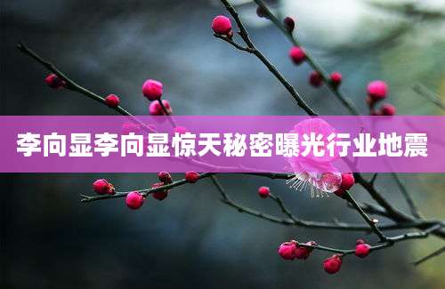 李向显李向显惊天秘密曝光行业地震