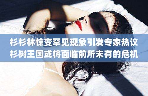 杉杉林惊变罕见现象引发专家热议杉树王国或将面临前所未有的危机