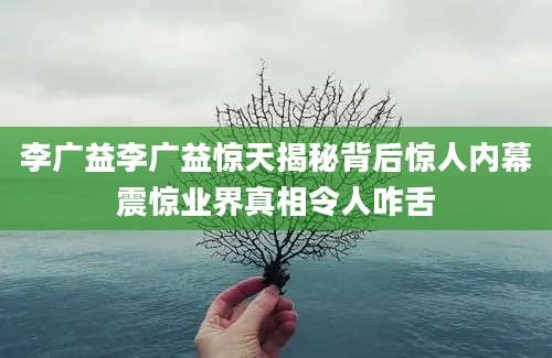 李广益李广益惊天揭秘背后惊人内幕震惊业界真相令人咋舌