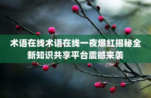 术语在线术语在线一夜爆红揭秘全新知识共享平台震撼来袭