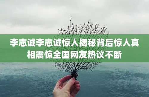 李志诚李志诚惊人揭秘背后惊人真相震惊全国网友热议不断