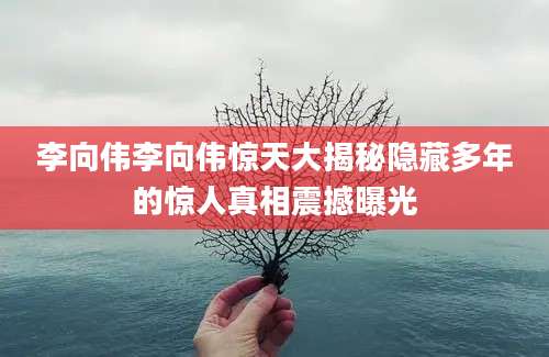 李向伟李向伟惊天大揭秘隐藏多年的惊人真相震撼曝光