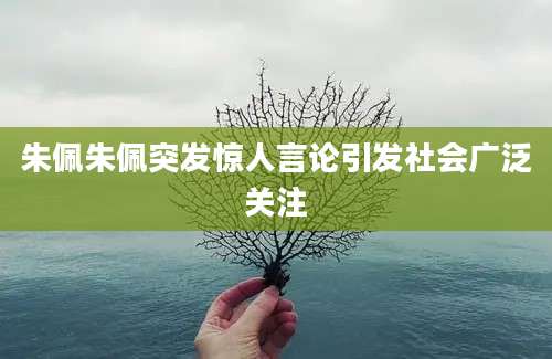 朱佩朱佩突发惊人言论引发社会广泛关注