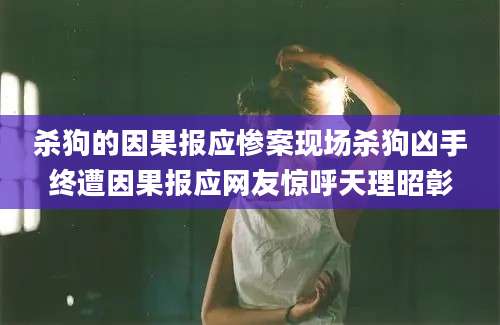 杀狗的因果报应惨案现场杀狗凶手终遭因果报应网友惊呼天理昭彰