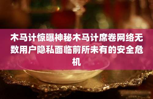 木马计惊曝神秘木马计席卷网络无数用户隐私面临前所未有的安全危机