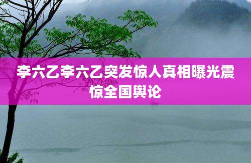 李六乙李六乙突发惊人真相曝光震惊全国舆论