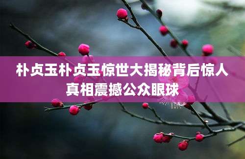 朴贞玉朴贞玉惊世大揭秘背后惊人真相震撼公众眼球