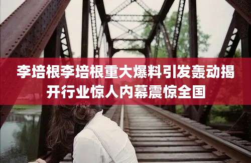 李培根李培根重大爆料引发轰动揭开行业惊人内幕震惊全国