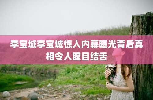 李宝城李宝城惊人内幕曝光背后真相令人瞠目结舌