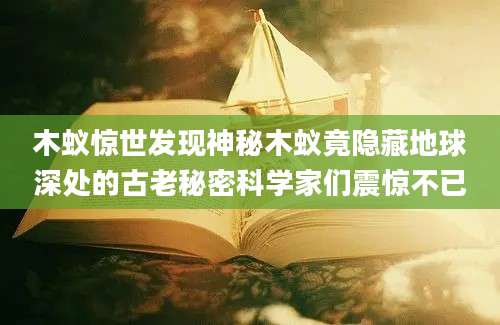 木蚁惊世发现神秘木蚁竟隐藏地球深处的古老秘密科学家们震惊不已