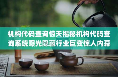 机构代码查询惊天揭秘机构代码查询系统曝光隐藏行业巨变惊人内幕