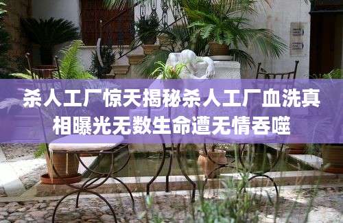 杀人工厂惊天揭秘杀人工厂血洗真相曝光无数生命遭无情吞噬
