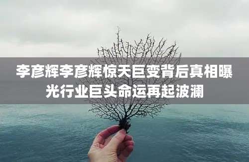 李彦辉李彦辉惊天巨变背后真相曝光行业巨头命运再起波澜