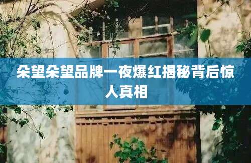 朵望朵望品牌一夜爆红揭秘背后惊人真相