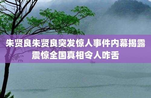朱贤良朱贤良突发惊人事件内幕揭露震惊全国真相令人咋舌