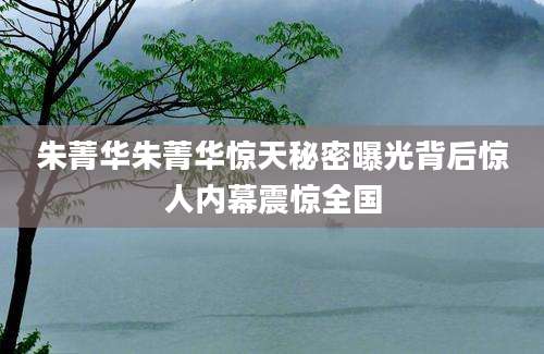 朱菁华朱菁华惊天秘密曝光背后惊人内幕震惊全国
