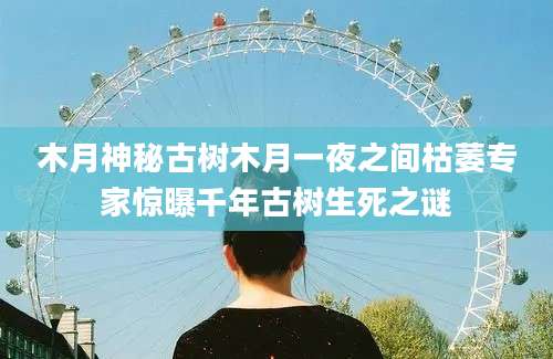 木月神秘古树木月一夜之间枯萎专家惊曝千年古树生死之谜
