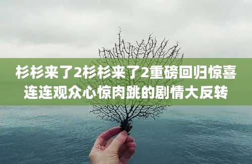 杉杉来了2杉杉来了2重磅回归惊喜连连观众心惊肉跳的剧情大反转