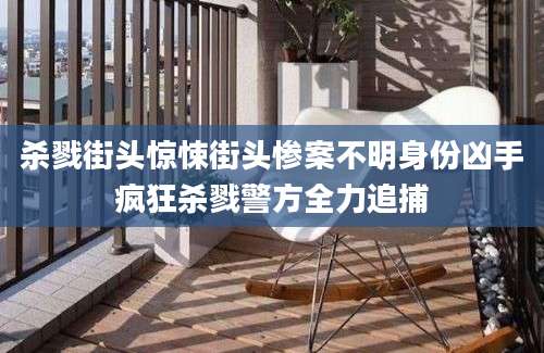 杀戮街头惊悚街头惨案不明身份凶手疯狂杀戮警方全力追捕