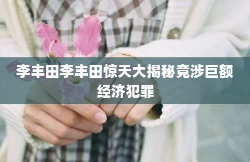 李丰田李丰田惊天大揭秘竟涉巨额经济犯罪