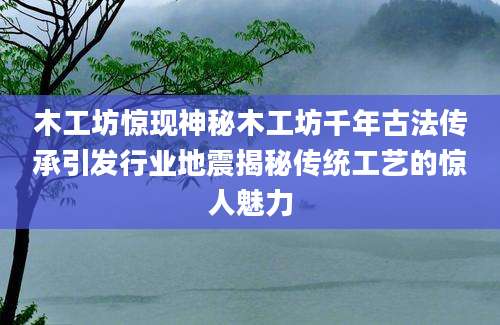 木工坊惊现神秘木工坊千年古法传承引发行业地震揭秘传统工艺的惊人魅力