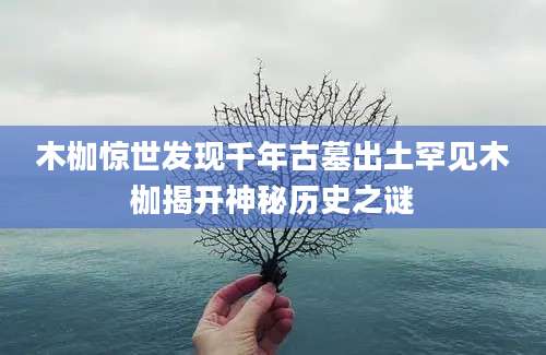 木枷惊世发现千年古墓出土罕见木枷揭开神秘历史之谜