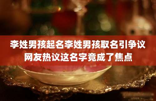 李姓男孩起名李姓男孩取名引争议网友热议这名字竟成了焦点