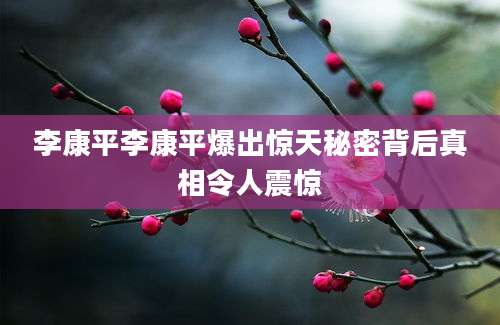 李康平李康平爆出惊天秘密背后真相令人震惊