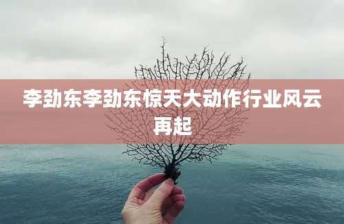 李劲东李劲东惊天大动作行业风云再起