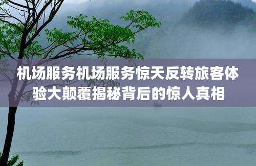 机场服务机场服务惊天反转旅客体验大颠覆揭秘背后的惊人真相