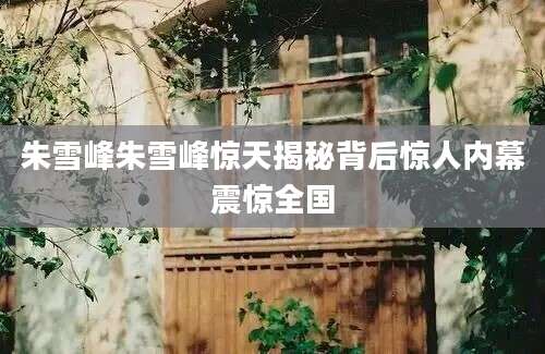 朱雪峰朱雪峰惊天揭秘背后惊人内幕震惊全国