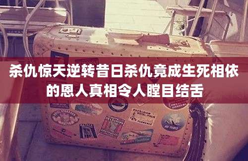杀仇惊天逆转昔日杀仇竟成生死相依的恩人真相令人瞠目结舌