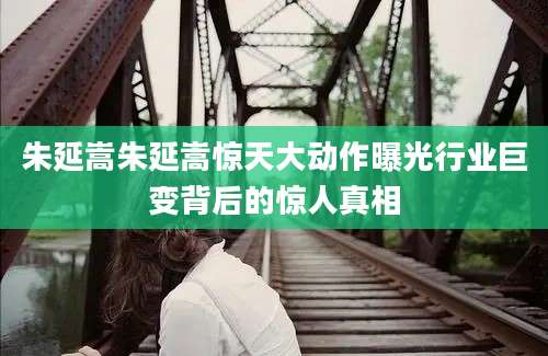 朱延嵩朱延嵩惊天大动作曝光行业巨变背后的惊人真相