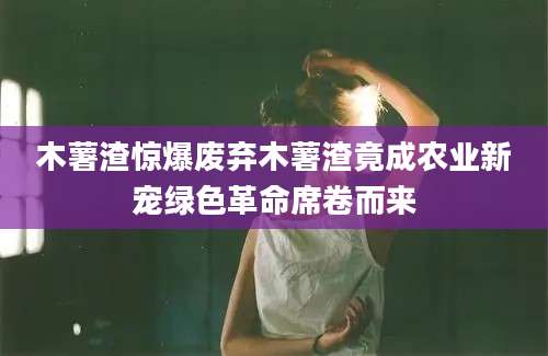 木薯渣惊爆废弃木薯渣竟成农业新宠绿色革命席卷而来