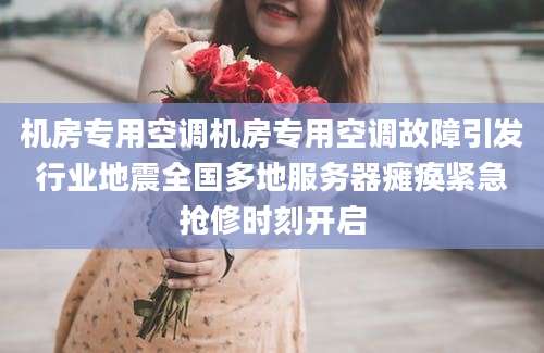 机房专用空调机房专用空调故障引发行业地震全国多地服务器瘫痪紧急抢修时刻开启