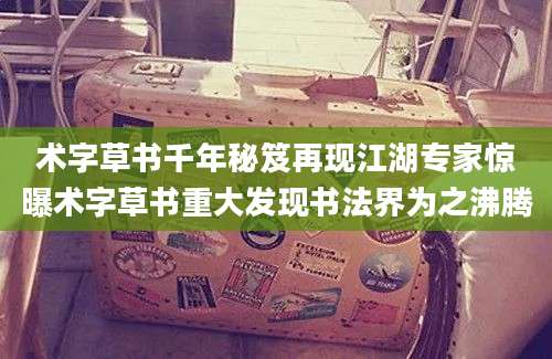 术字草书千年秘笈再现江湖专家惊曝术字草书重大发现书法界为之沸腾