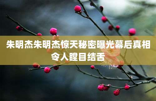 朱明杰朱明杰惊天秘密曝光幕后真相令人瞠目结舌