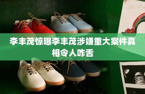 李丰茂惊曝李丰茂涉嫌重大案件真相令人咋舌