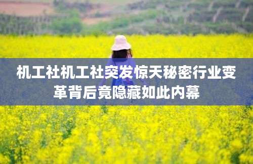 机工社机工社突发惊天秘密行业变革背后竟隐藏如此内幕