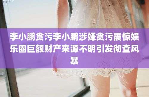 李小鹏贪污李小鹏涉嫌贪污震惊娱乐圈巨额财产来源不明引发彻查风暴
