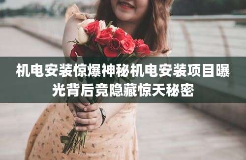 机电安装惊爆神秘机电安装项目曝光背后竟隐藏惊天秘密