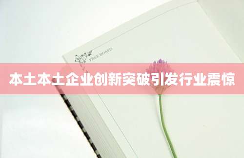 本土本土企业创新突破引发行业震惊