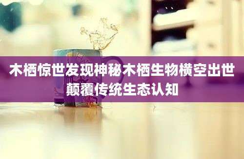 木栖惊世发现神秘木栖生物横空出世颠覆传统生态认知