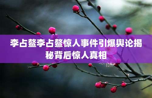 李占鳌李占鳌惊人事件引爆舆论揭秘背后惊人真相