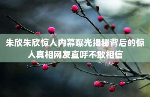 朱欣朱欣惊人内幕曝光揭秘背后的惊人真相网友直呼不敢相信